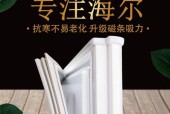 海尔冰箱BCD219不制冷的原因及解决方法（探究海尔冰箱BCD219不制冷的可能原因和解决方案）