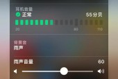 我的电脑没有声音怎么办（教你轻松解决电脑无声的烦恼）