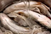 解决冰柜中鱼肉腐臭问题的方法（如何有效保存鱼肉的新鲜和味道）