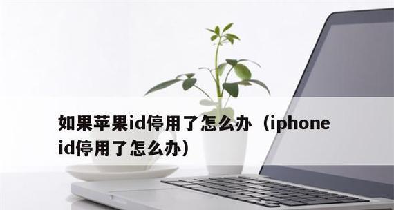 AppleID激活锁解锁教程（解锁AppleID激活锁，让您的设备重新焕发活力）  第3张