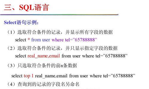 sql数据库基础知识点总结（从零开始学习SQL数据库的重要性和实践技巧）  第2张