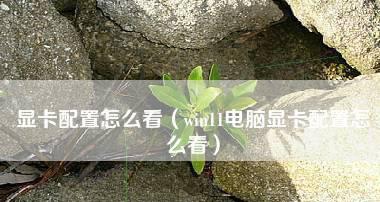 显卡配置查询指南（电脑显卡配置在哪里看）  第1张