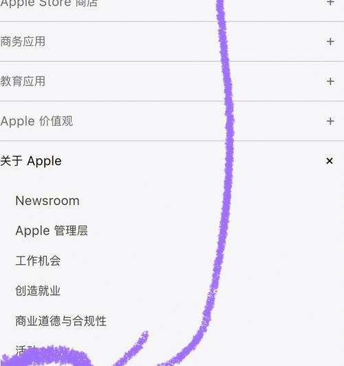 iPad软件无法更新新版本怎么办？怎么排查iPad软件更新问题？  第1张