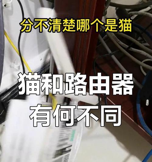 移动猫和路由器如何正确连接？连接失败的常见问题有哪些？  第3张